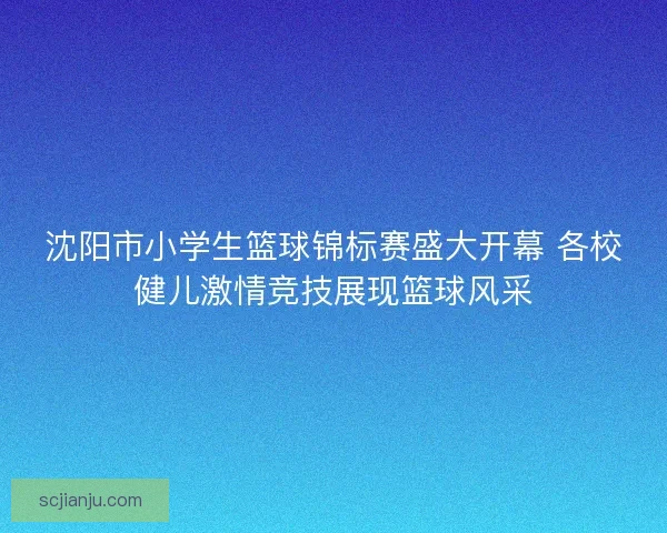 沈阳市小学生篮球锦标赛盛大开幕 各校健儿激情竞技展现篮球风采