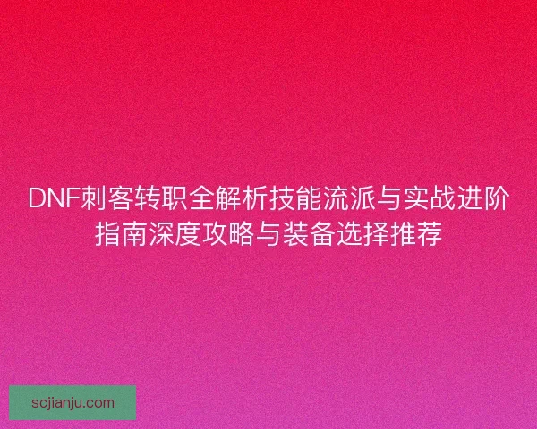 DNF刺客转职全解析技能流派与实战进阶指南深度攻略与装备选择推荐