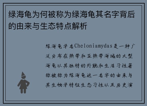 绿海龟为何被称为绿海龟其名字背后的由来与生态特点解析
